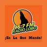 Radio Lobo Celaya