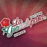 La Guadalupana 101.7 FM