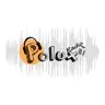 Polux Radio