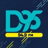 D95 Chihuahua