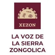 Logo La Voz de la Sierra de Zongolica