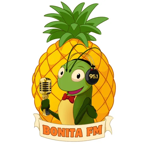 Bonita FM 95.1