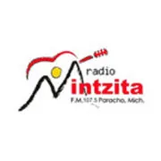Logo Radio Minzita 107.5