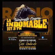 Logo Radio La Indomable